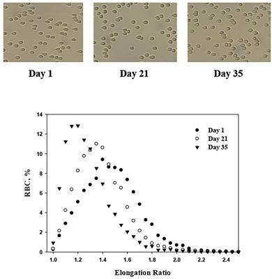 Deformability of Stored Red Blood Cells